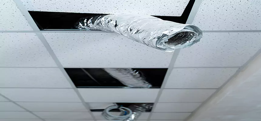 Our Air Duct Pet Hair Removal Services in Sunrise Manor, NV