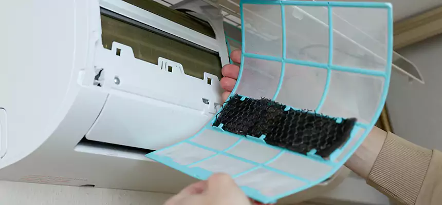 Gentle Ductwork Odor-Control Pet Dander Duct Cleaning in Sunrise Manor, NV