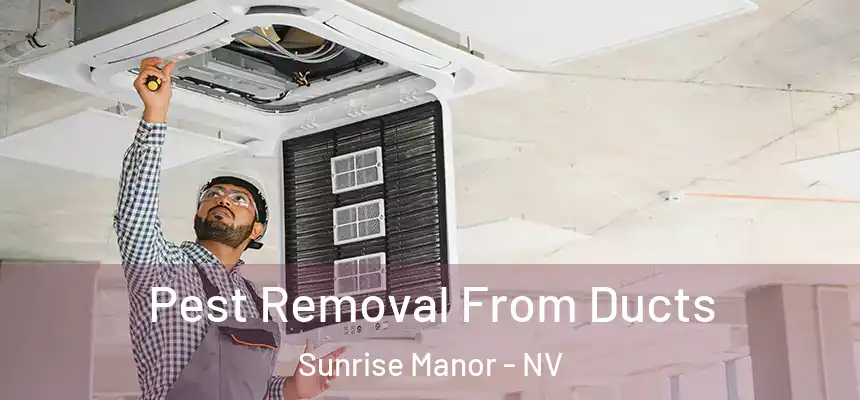  Pest Removal From Ducts Sunrise Manor - NV