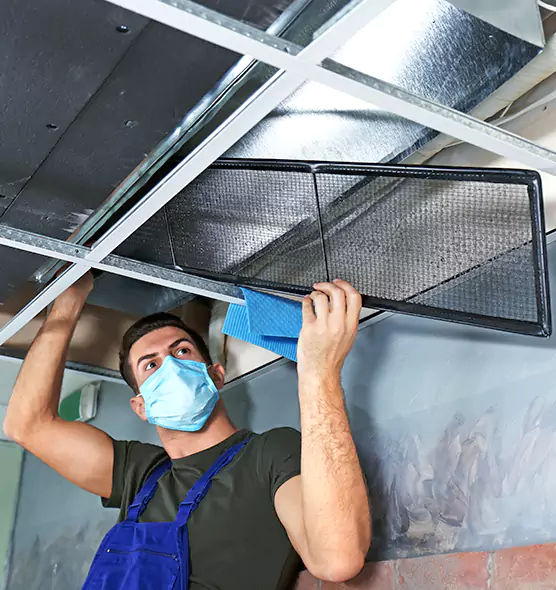 About Air Duct Bacteria Removal in Sunrise Manor