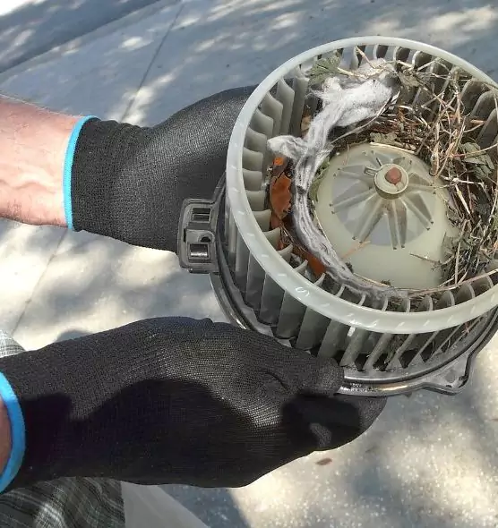 About Air Duct Mice Removal in Sunrise Manor, NV