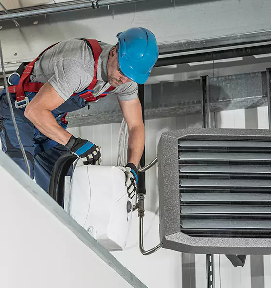 About HVAC Mold Remediation Service in Sunrise Manor, NV