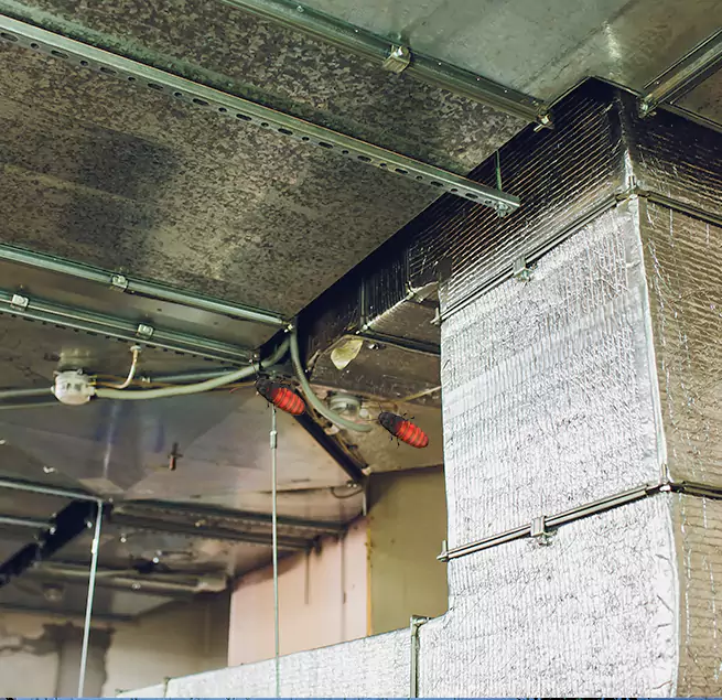 Why Homeowners & Businesses Trust Us in Sunrise Manor, NV?