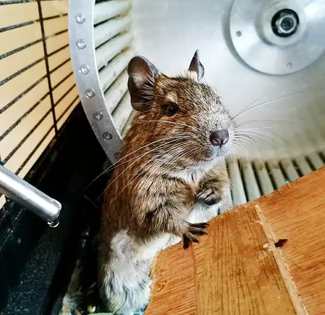 Why Homeowners & Businesses Trust Us Sunrise Manor, NV