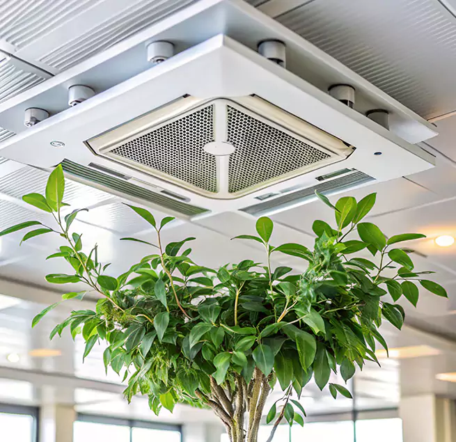 Why Homeowners & Businesses Trust Us in Sunrise Manor, NV?