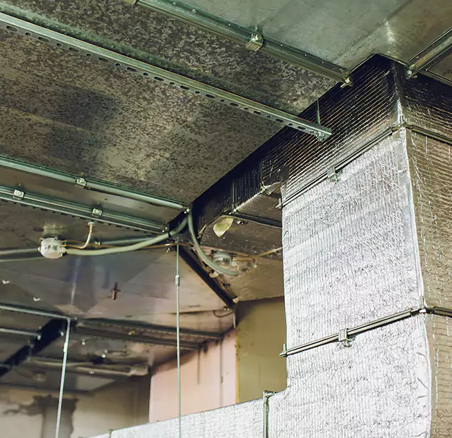 Why Homeowners & Businesses Trust Us in Sunrise Manor, NV?